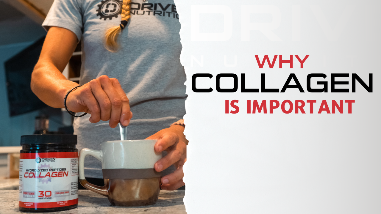 Why Driven Nutrition's Collagen Type 1 & 3 is Important